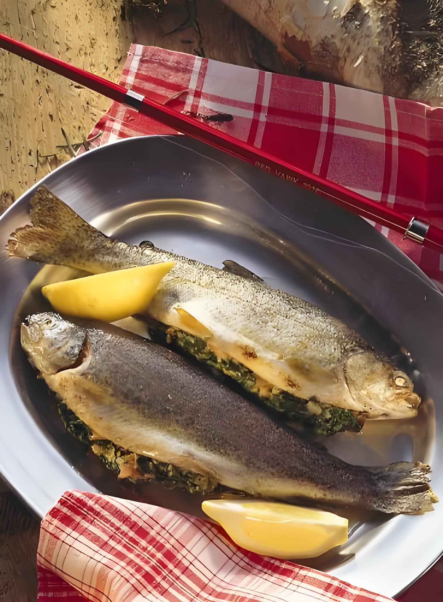 鮭魚(yú).jpg