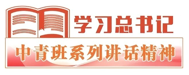 學習習總書記精神.png