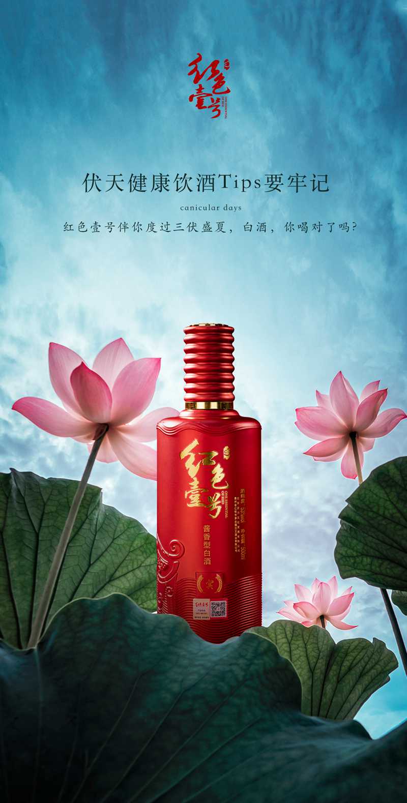 三伏天，會喝酒也要會養(yǎng)生(圖3)