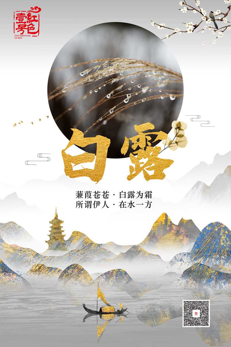 今日白露(圖1)