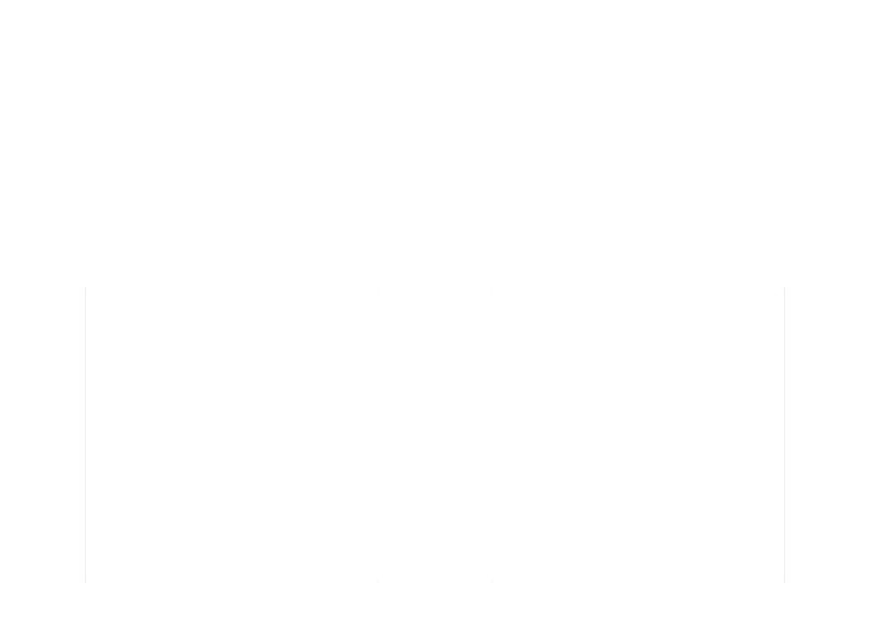 紅色分割線.gif