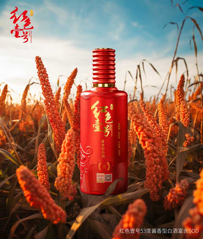 重陽下沙，正是紅色壹號釀造時節(jié)1.jpg