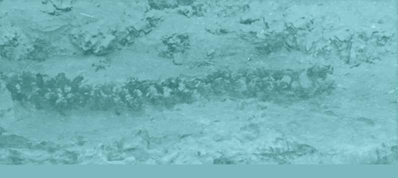 長津湖1.gif