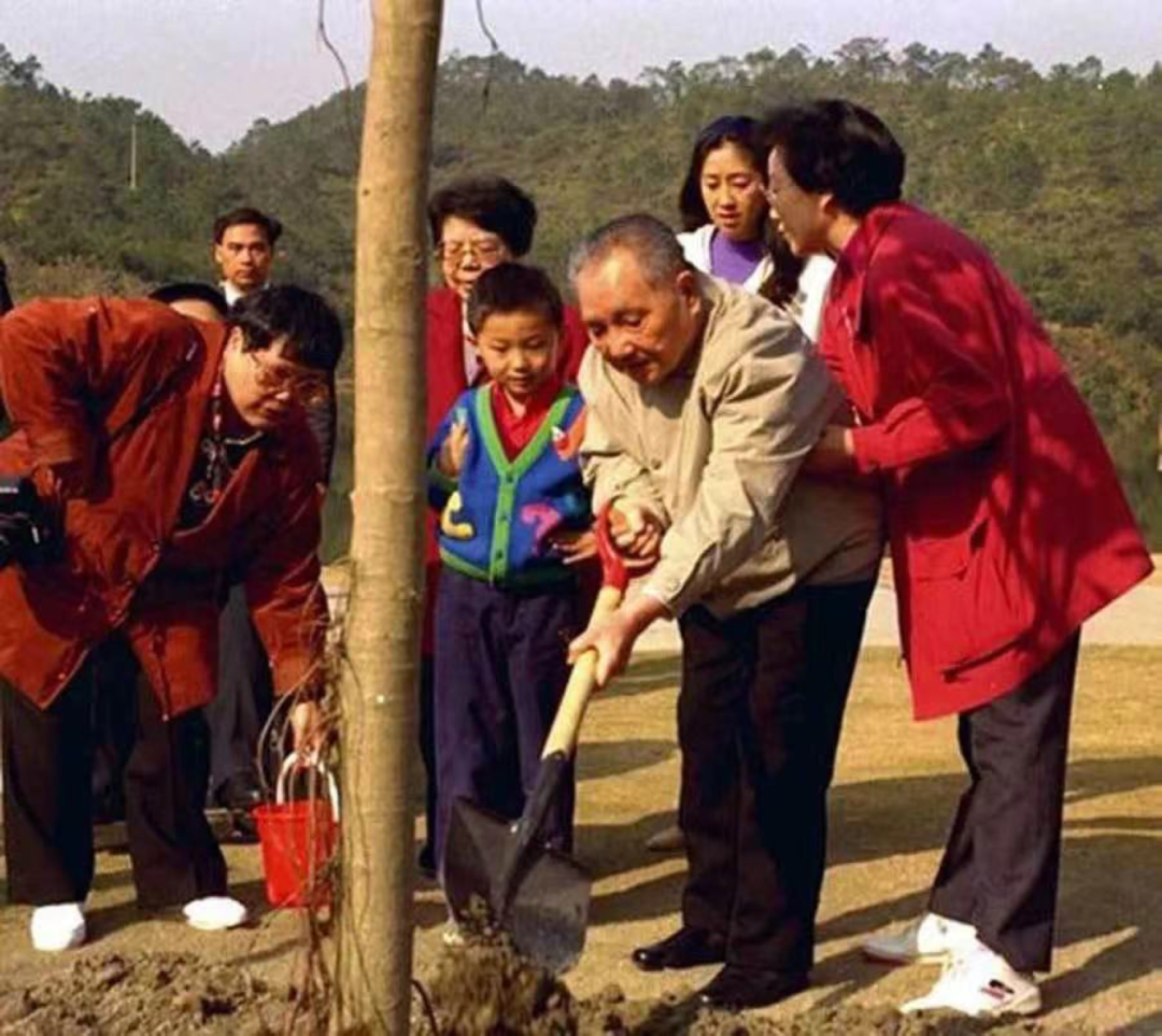 在南巡到達(dá)深圳時，鄧小平曾前往仙湖植樹。當(dāng)深圳仙湖植物園管理處負(fù)責(zé)人介紹玉樹又叫發(fā)財樹時，鄧榕對父親說，“這是發(fā)財樹，我們都來摸一下嘛，都發(fā)財”“以后咱們家也種一棵”。鄧小平回答：“讓全國人民都種，讓全國人民都發(fā)財?！?png