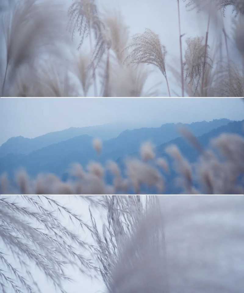 “酂白”是中國天然形成的色彩之一，是一種白中泛綠的顏色.jpg