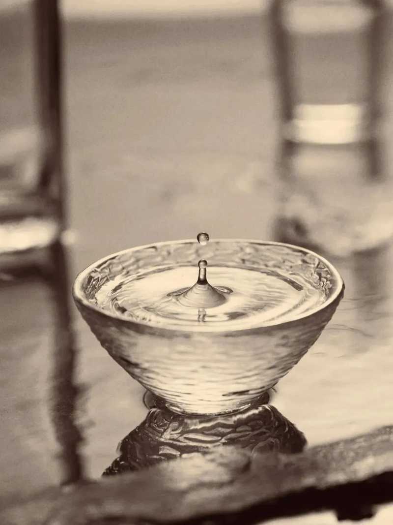 宜賓在古代為敘州府，自古就是名酒產(chǎn)地，宋代產(chǎn)出有春碧、荔枝綠兩種名酒。.jpg