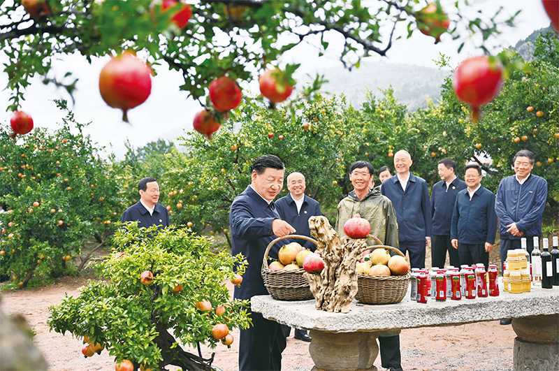 2023年9月24日，中共中央總書記、國家主席、中央軍委主席習近平在浙江考察結(jié)束返京途中，來到山東省棗莊市考察。.jpg
