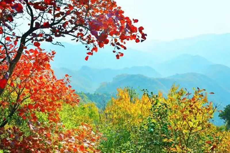 襄垣仙堂山：紅葉滿山惹人“醉”2.jpg