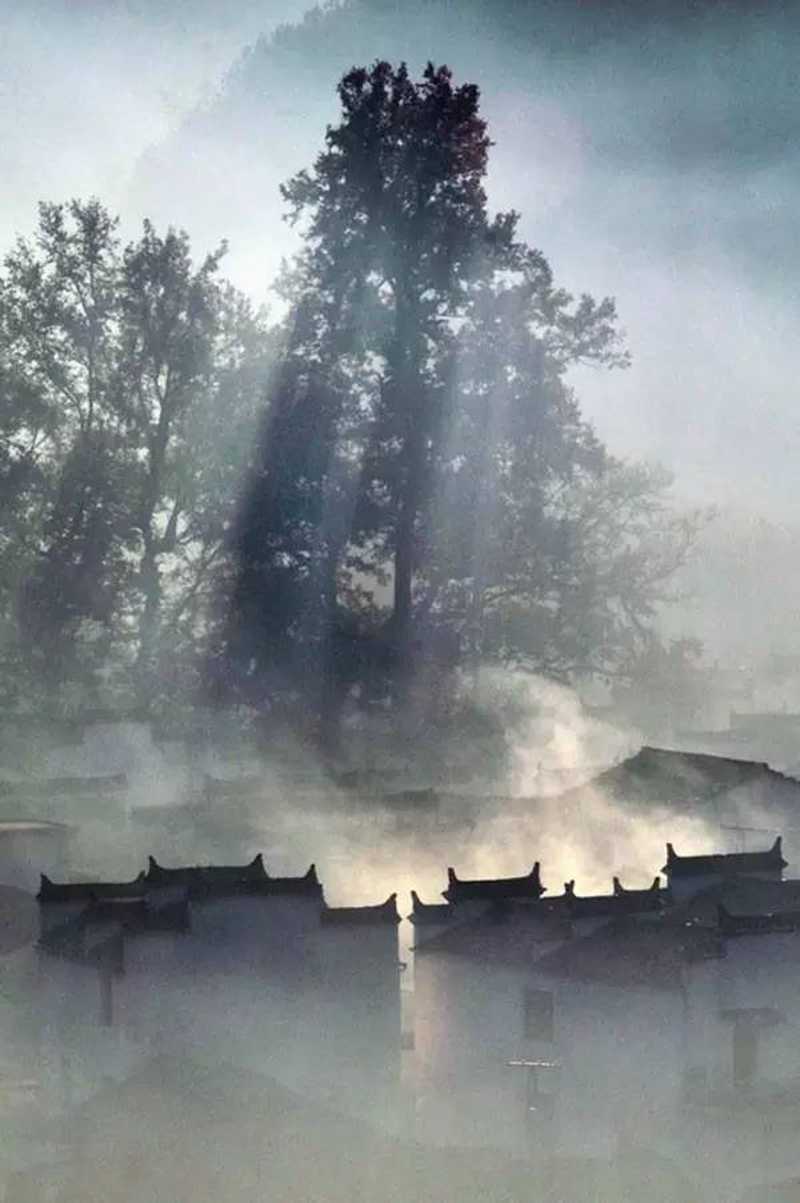 言有盡而意無窮.jpg