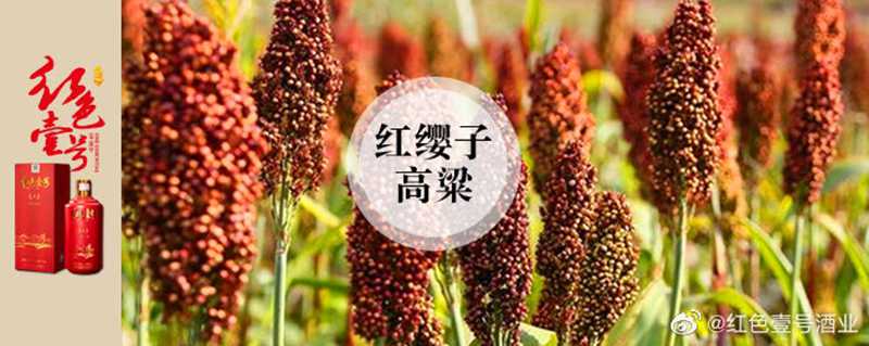 紅色壹號精品醬酒的魅力已經(jīng)征服越來越多的人，對它的了解越多，對它的喜愛也就會越深。懂與不懂醬酒，只差這篇文章。(圖4)