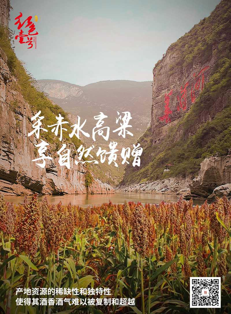 【醬酒知識(shí)】為什么喝醬酒越喝越健康？(圖6)
