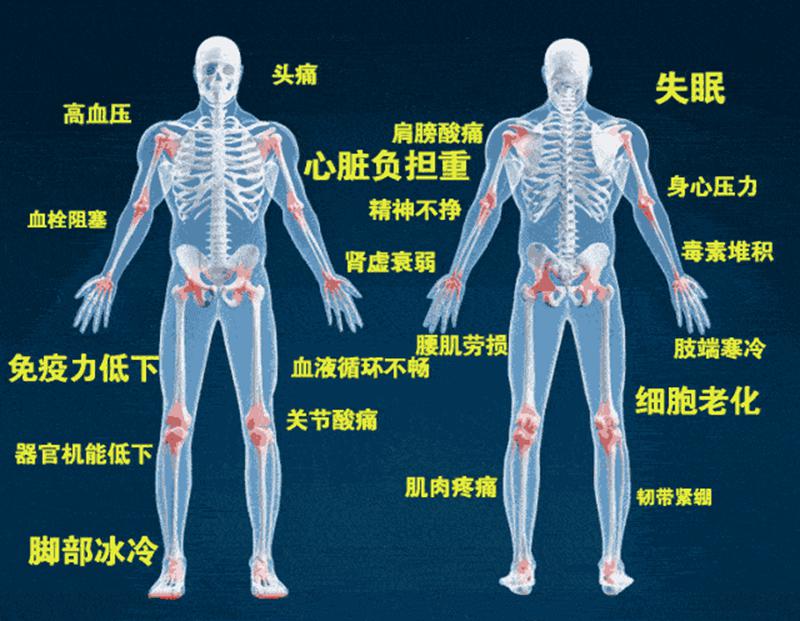 中醫(yī)基于人體五臟六腑，結(jié)合四季特征，地理位置，陰陽調(diào)和，.gif