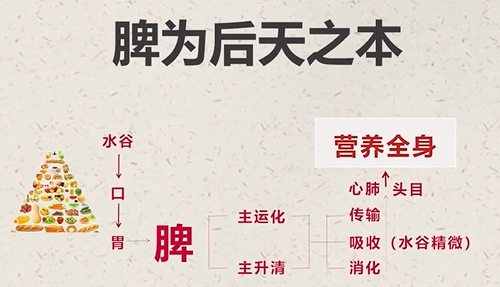經(jīng)常熬夜，太過(guò)勞累，可身體提供不了持續(xù)的支撐，便出現(xiàn)了問(wèn)題。.png