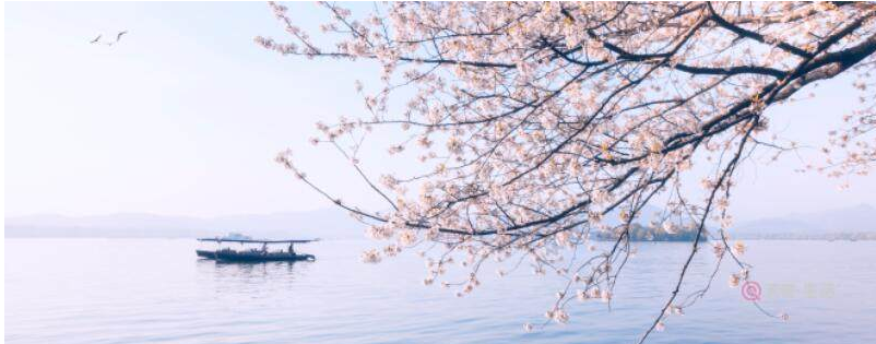 蘇軾《減字木蘭花·己卯儋耳春詞》(圖3)