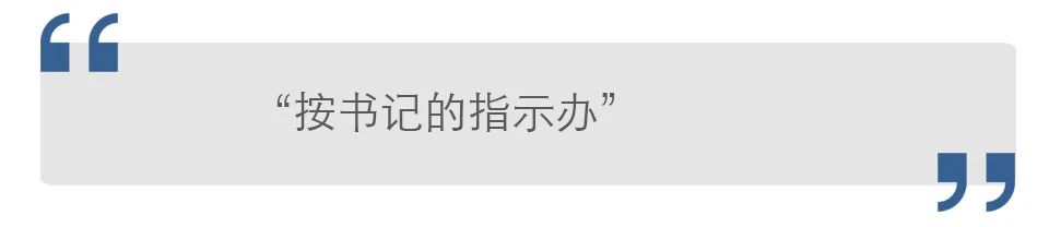 按書(shū)記的指示辦.jpg