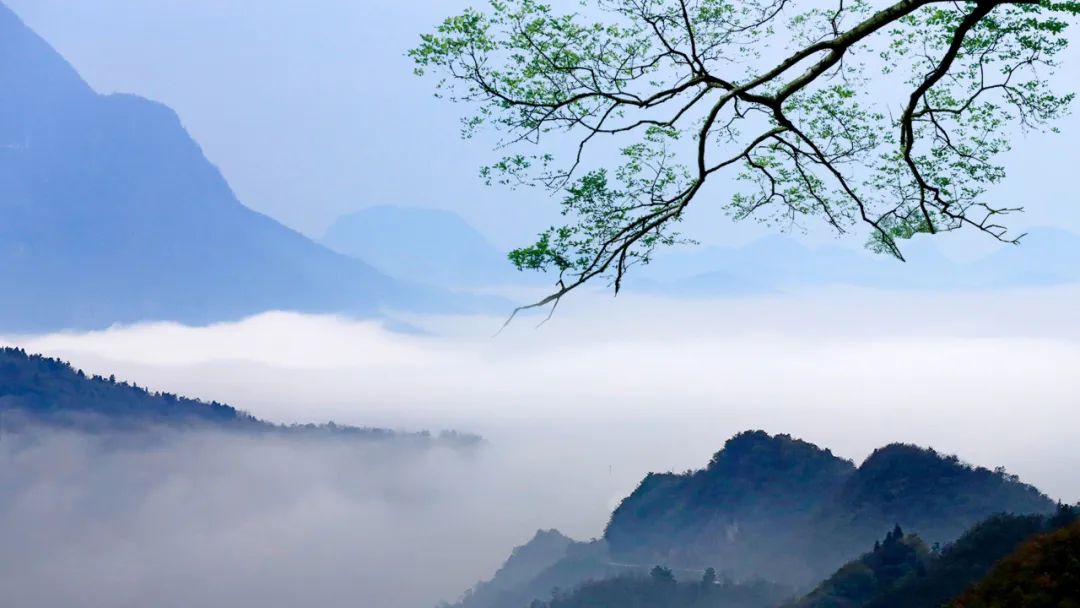 坐看百花開落遍，依然山色對清盧.jpg