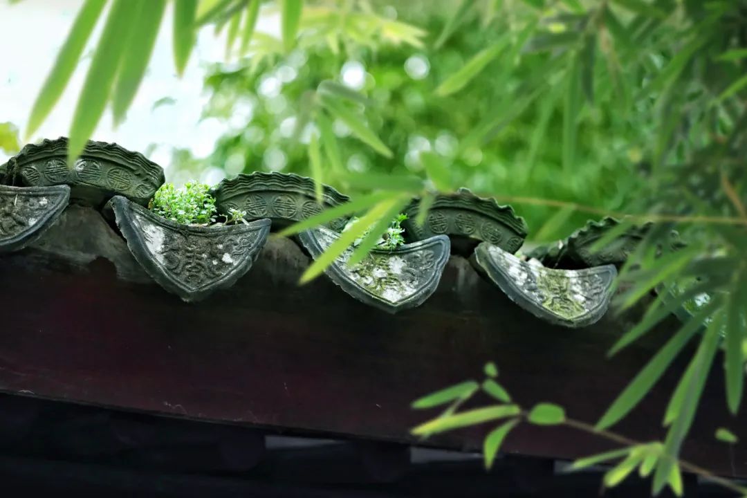 春天里，人們忙著各自的事情.jpg