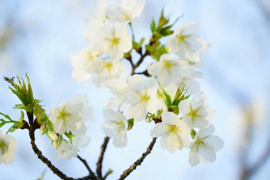 長江悲已滯，萬里念將歸。.jpg
