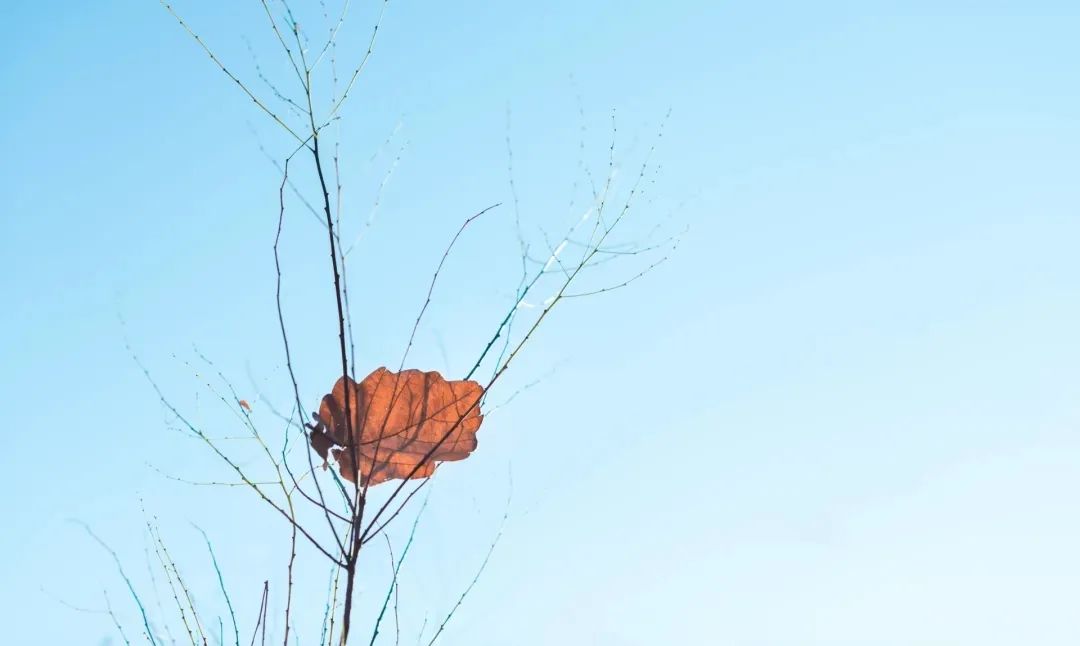 渡水復(fù)渡水，看花還看花。.jpg