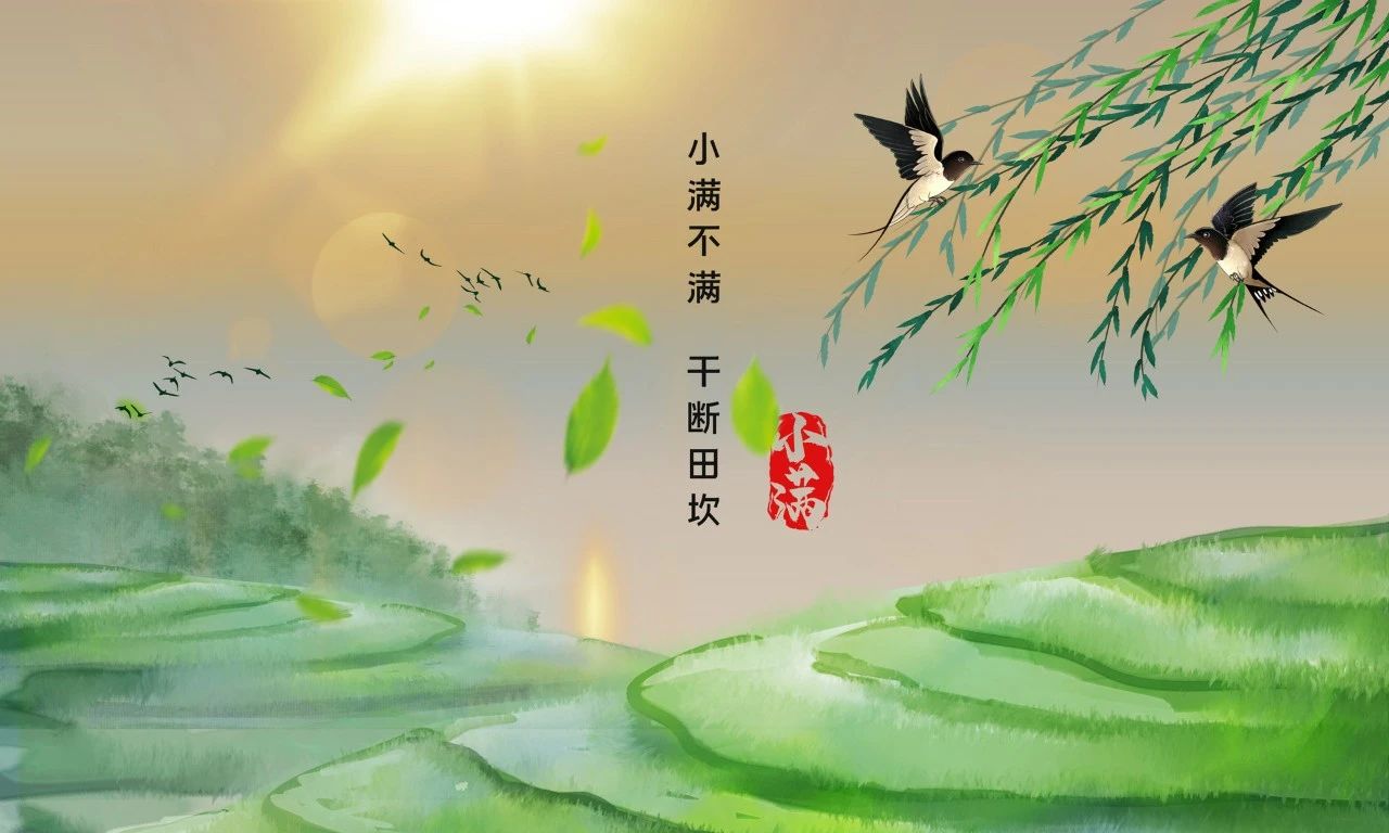 小滿不滿，干斷田坎.jpg