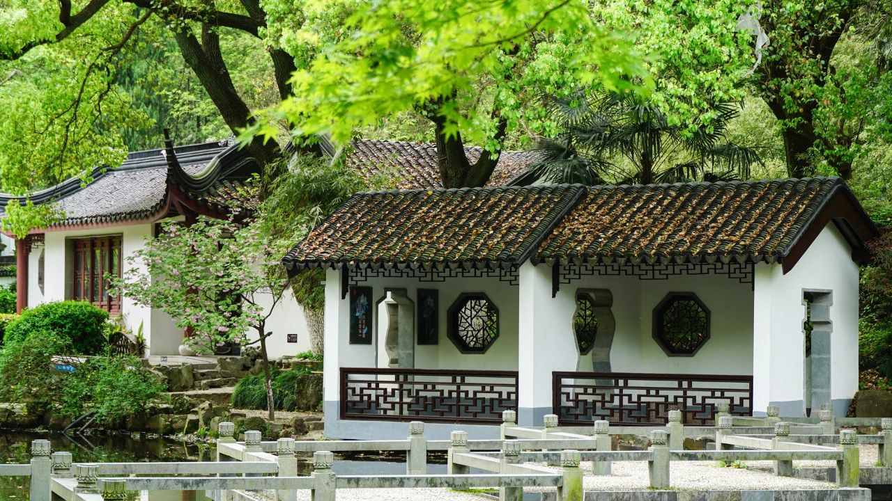 夏天，有一個(gè)院子.jpg