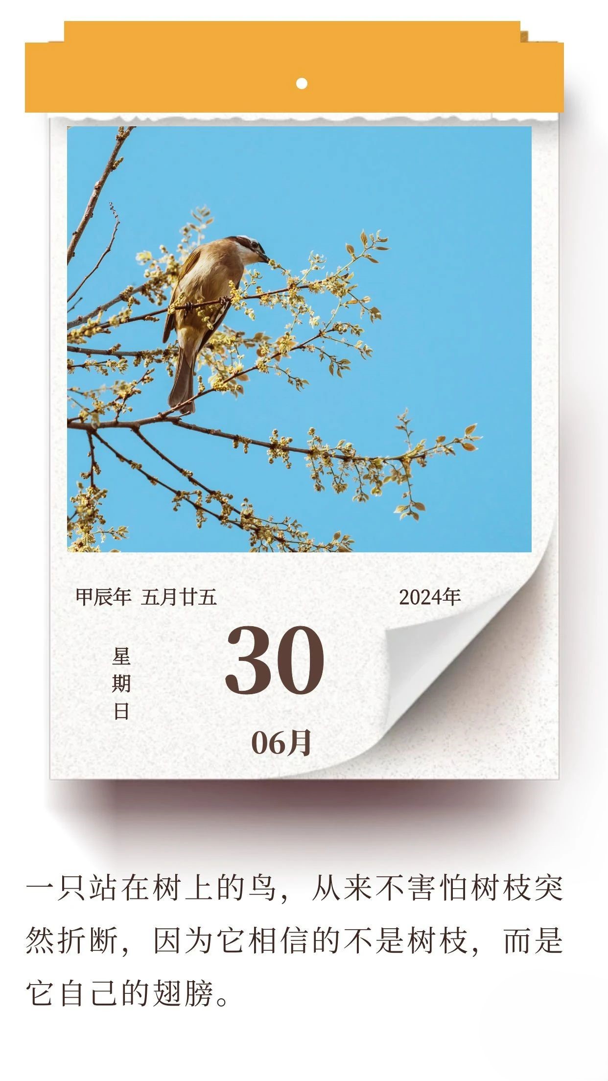 努力提升自己，比依靠他人要更可靠 .jpg