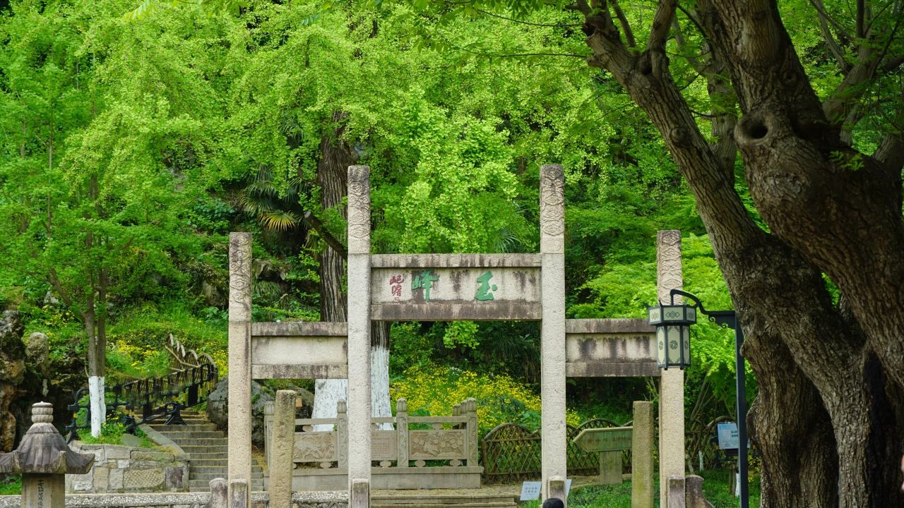 夏風(fēng)中，有“獨(dú)屬于夏日”的生氣4.jpg