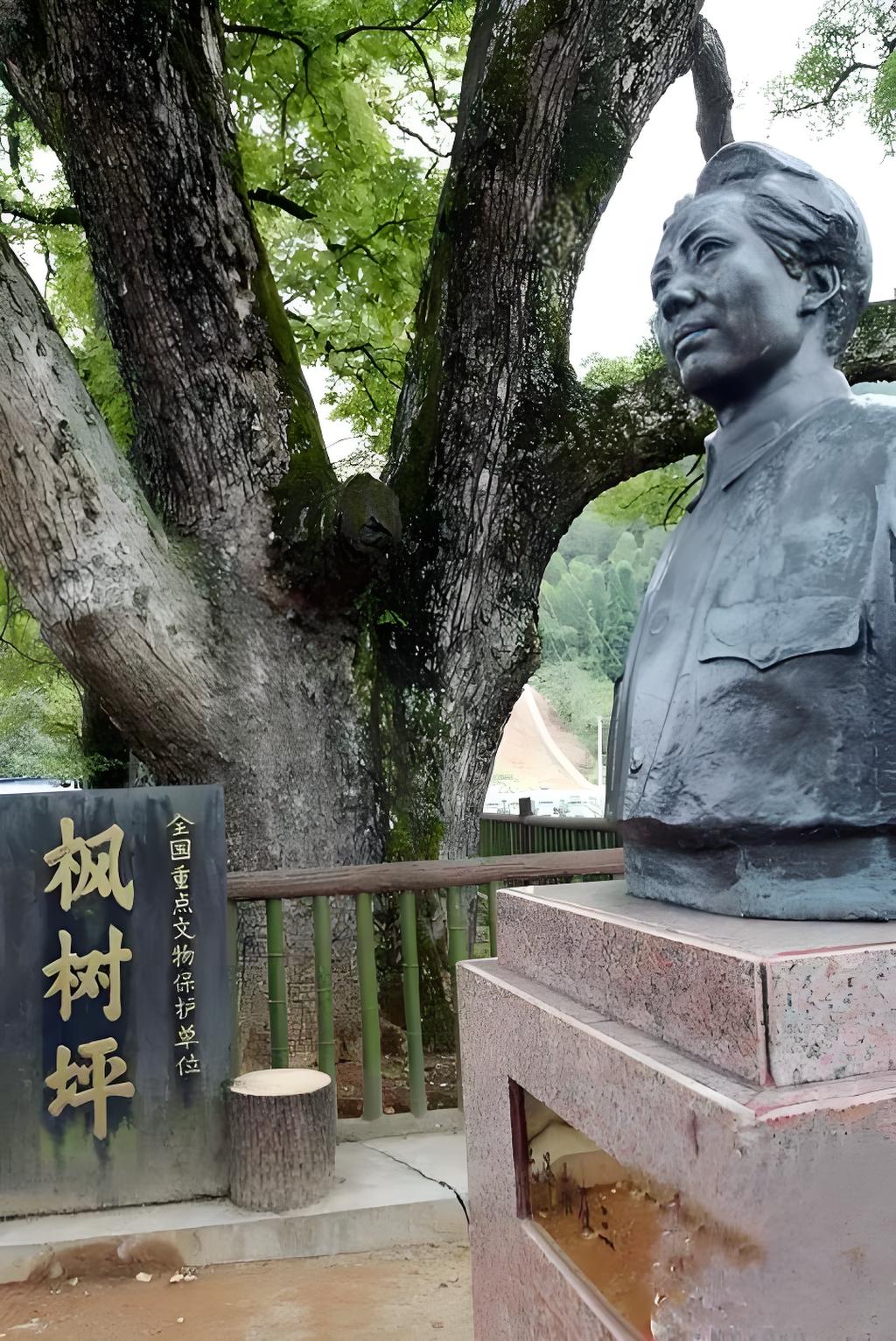 三灣楓樹坪.jpg